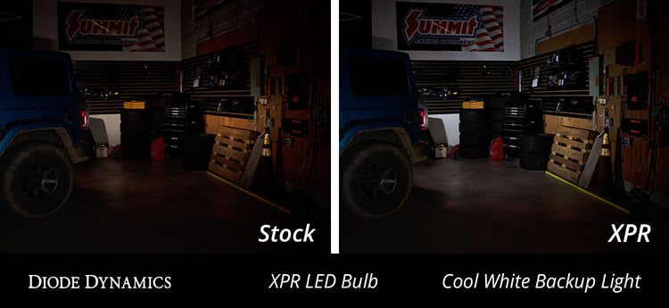 3156/3157 XPR LED Bulb Cool White Diode Dynamics-