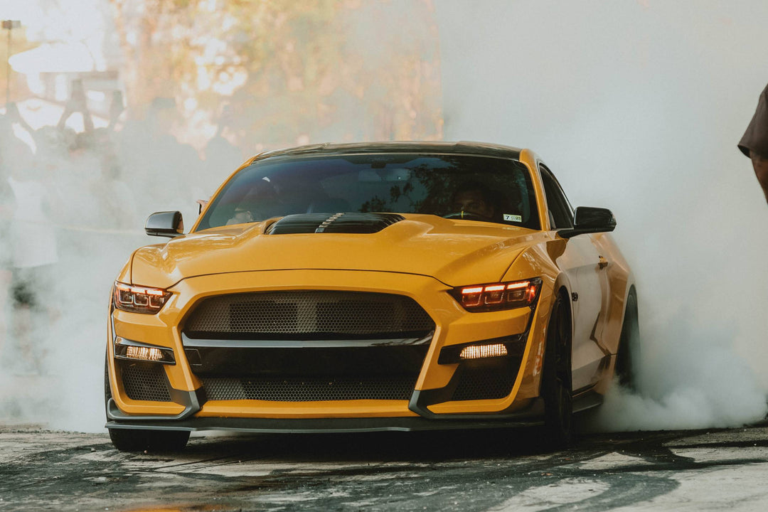 15-17 Mustang Heads and Tails-3