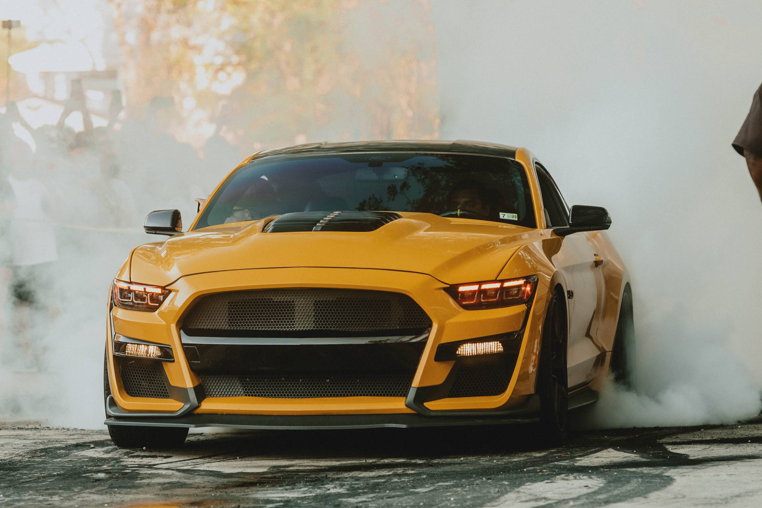 15-17 Mustang Heads and Tails-3