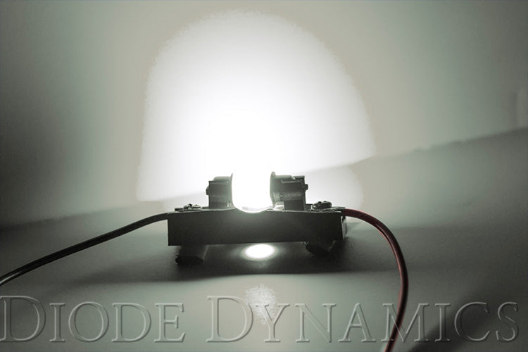 31mm HP6 LED Bulb Diode Dynamics-