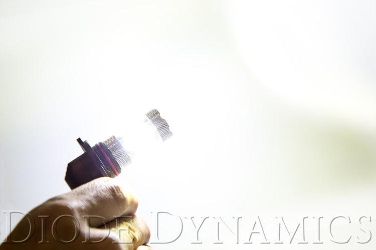 9006 XP80 LED Cool White (Pair) Diode Dynamics-3