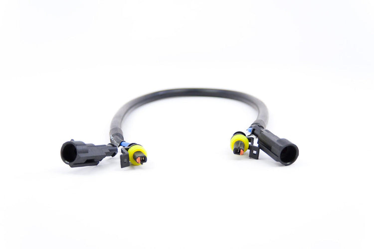 AMP Extension (Single)-1