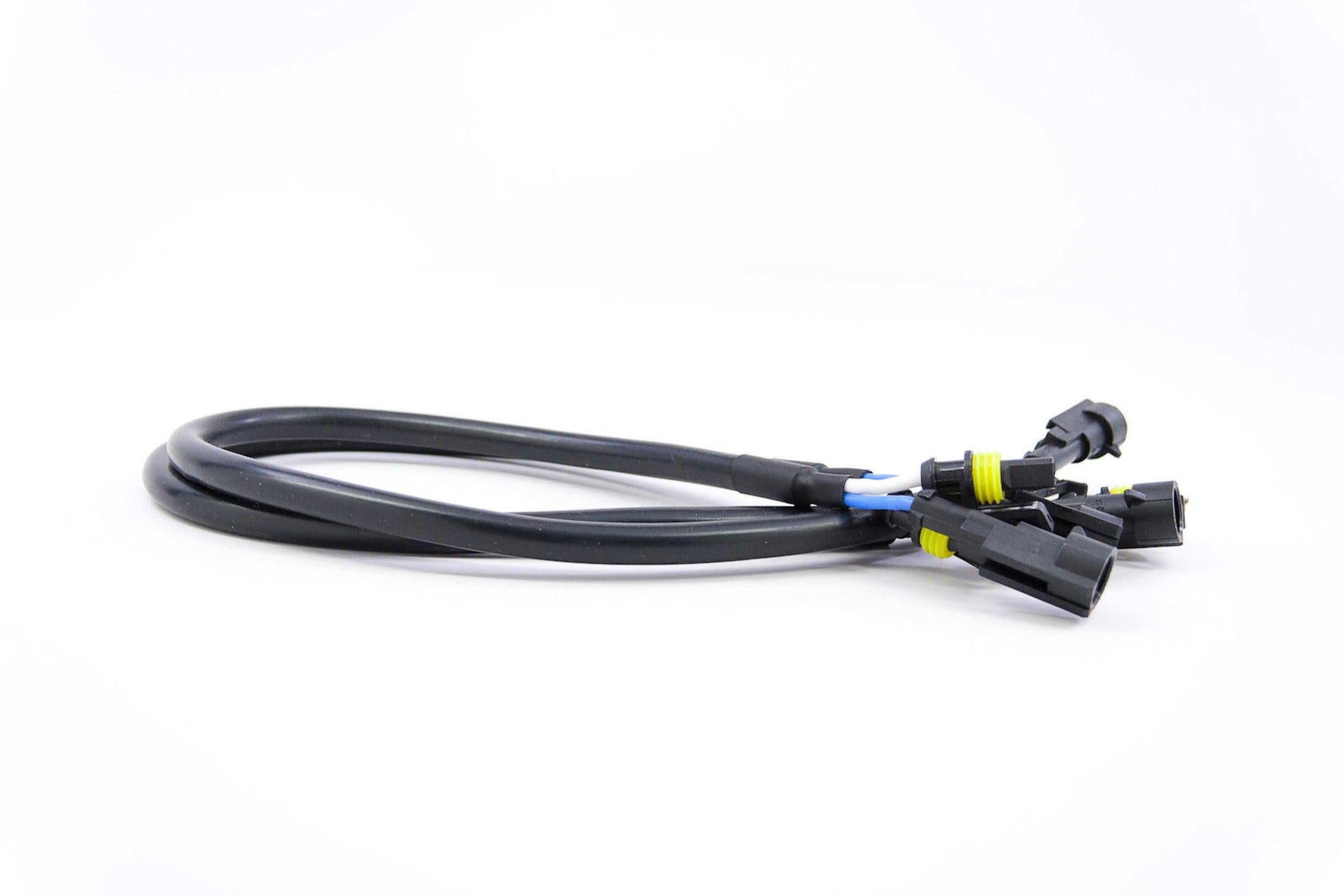 AMP Extension (Single)-3