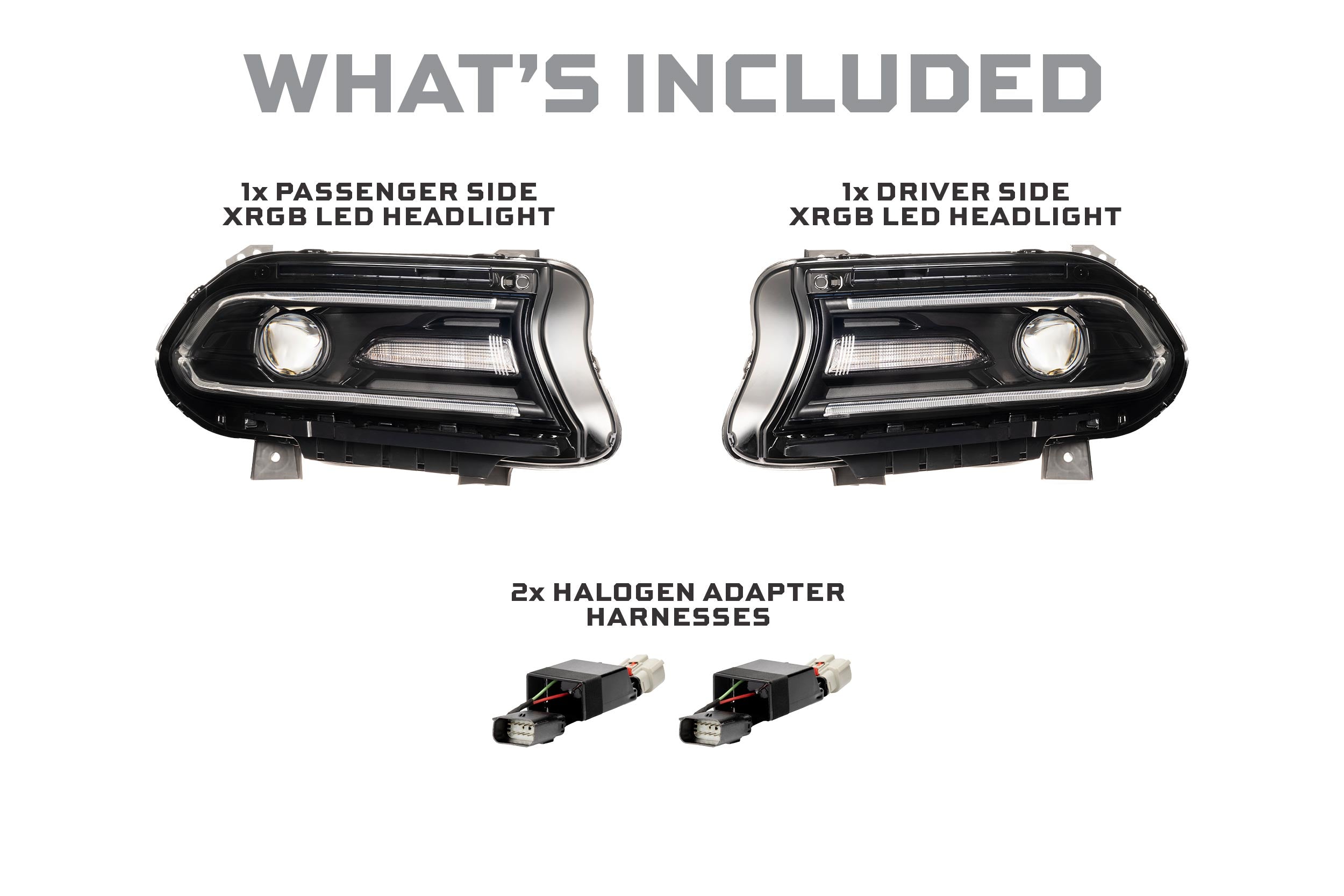 Dodge Charger (15-23)Morimoto XRGB LED Headlights-3