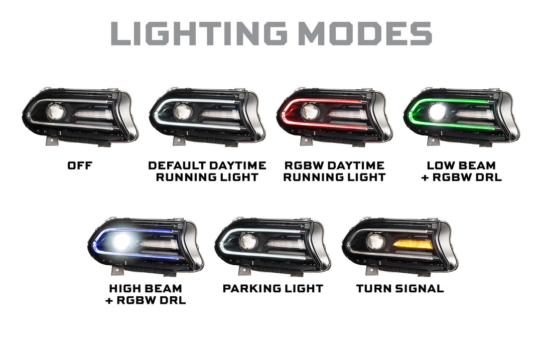 Dodge Charger (15-23)Morimoto XRGB LED Headlights-5