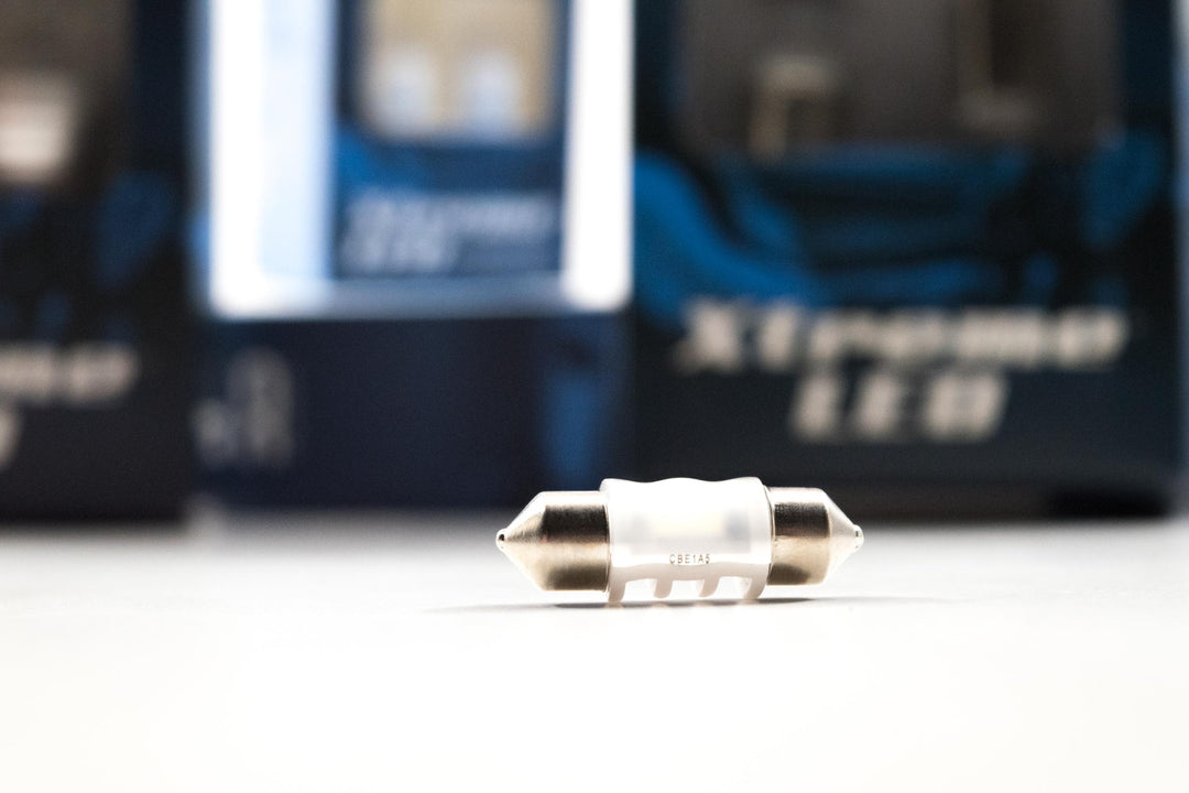 Festoon: Xtreme LED (31mm)-1