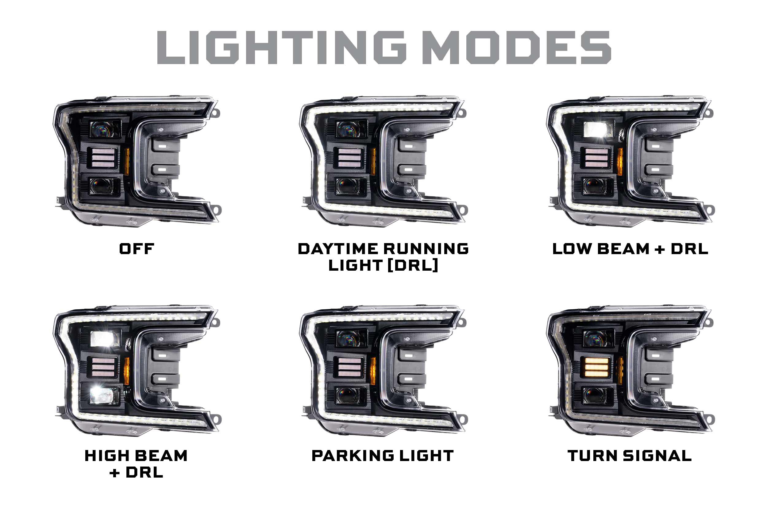 Ford F-150 (18-20): Morimoto XB Hybrid LED Headlights-4