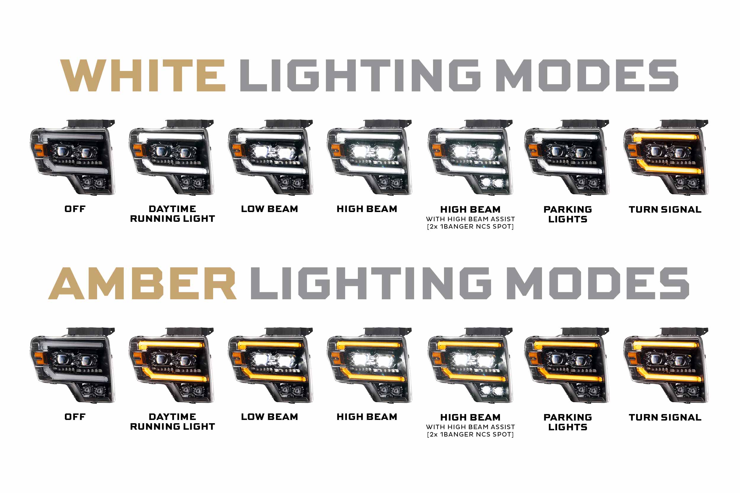 Ford F-150/ Raptor (09-14): Morimoto XB Evo Headlights-6