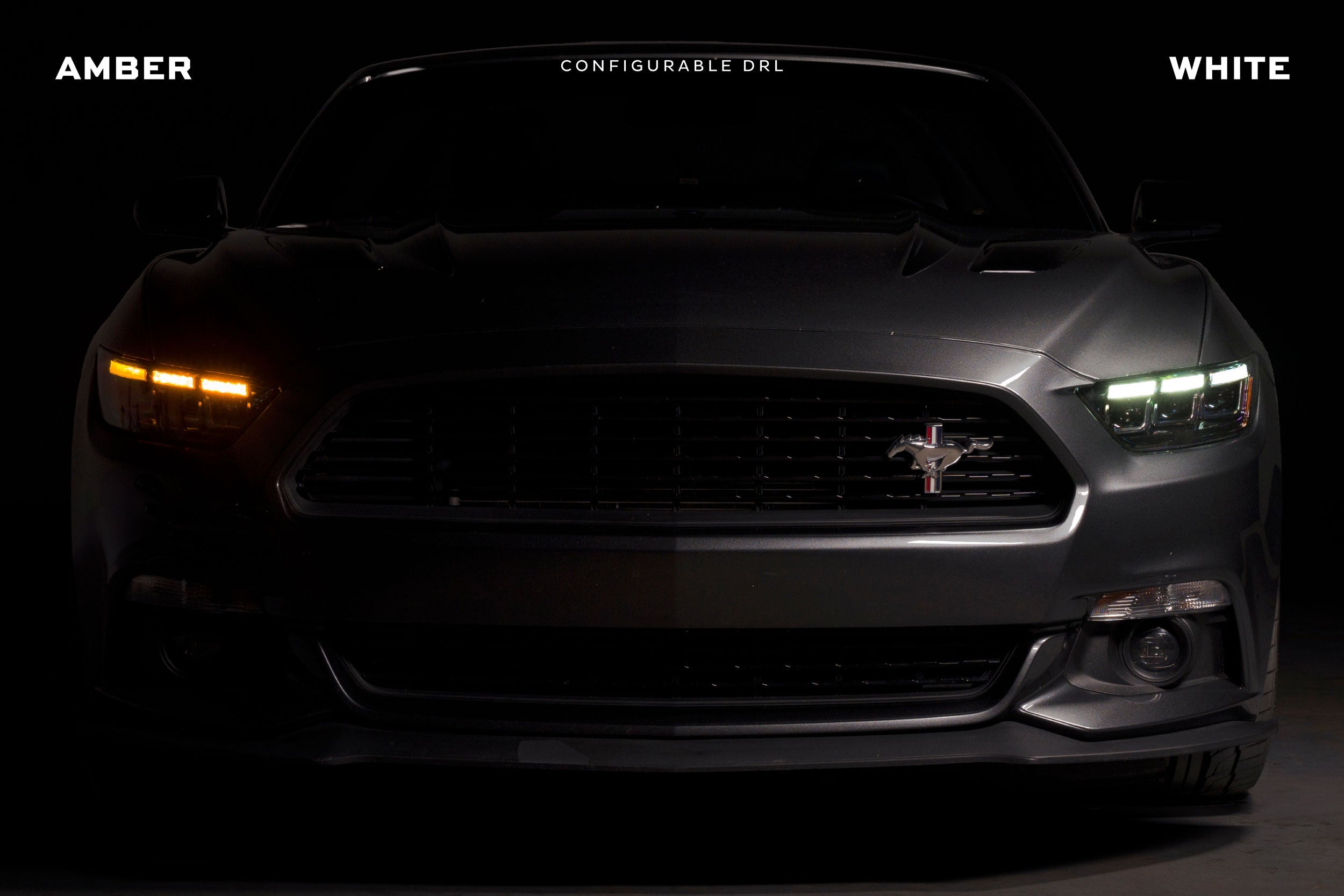 Ford Mustang GT500 (20-22) (Gen II): Morimoto XB LED Headlights