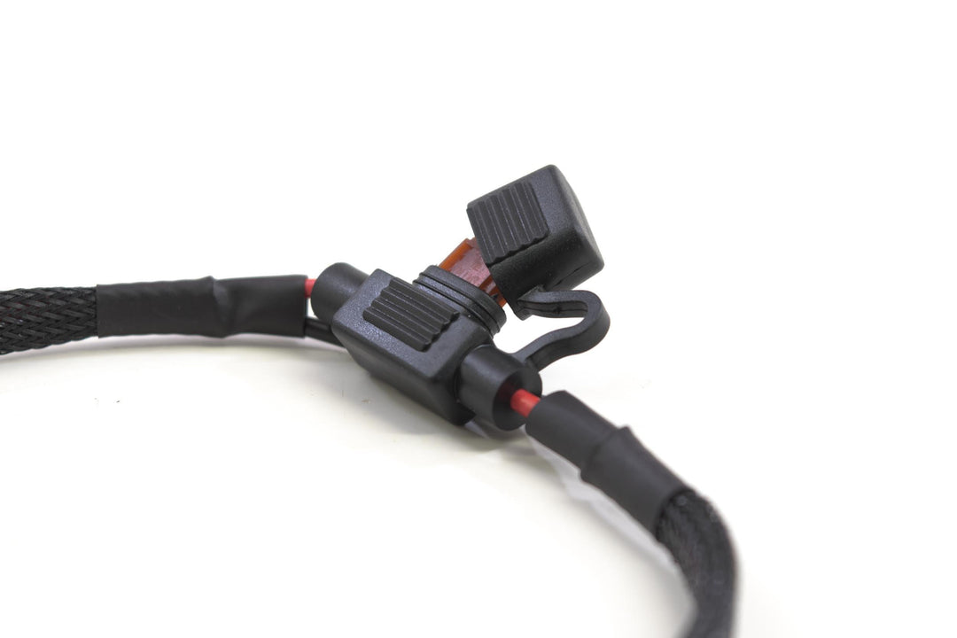 Fuse Box Harness: O-Ring Terminals (12V +/-)-2