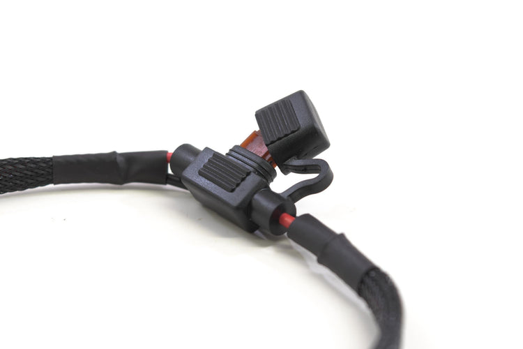 Fuse Box Harness: O-Ring Terminals (12V +/-)-2