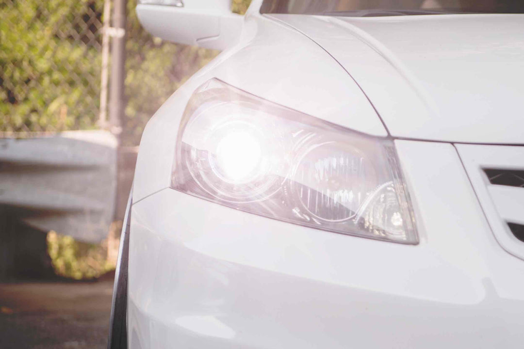 H1: ACME HID Bulbs-3