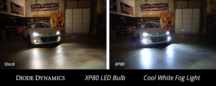 H8 XP80 Cool White LED Bulbs Diode Dynamics-dd0187p