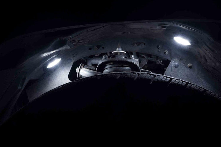 Morimoto Rock Light Kit: White-12