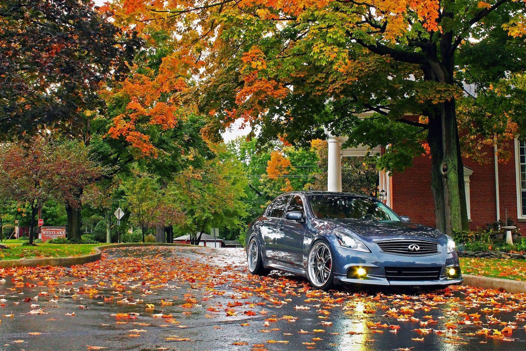 Morimoto XB LED Fogs: Type I (Pair)-10