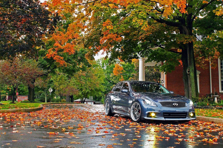 Morimoto XB LED Fogs: Type I (Pair)-10