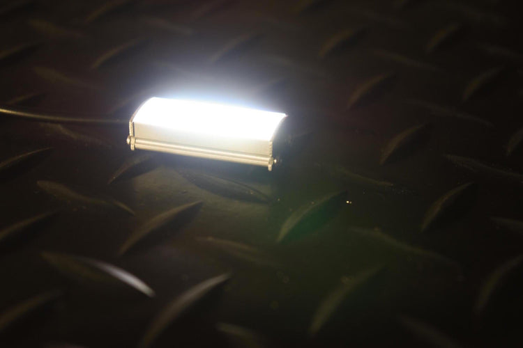 Profile Pixel: Color Indicator-2