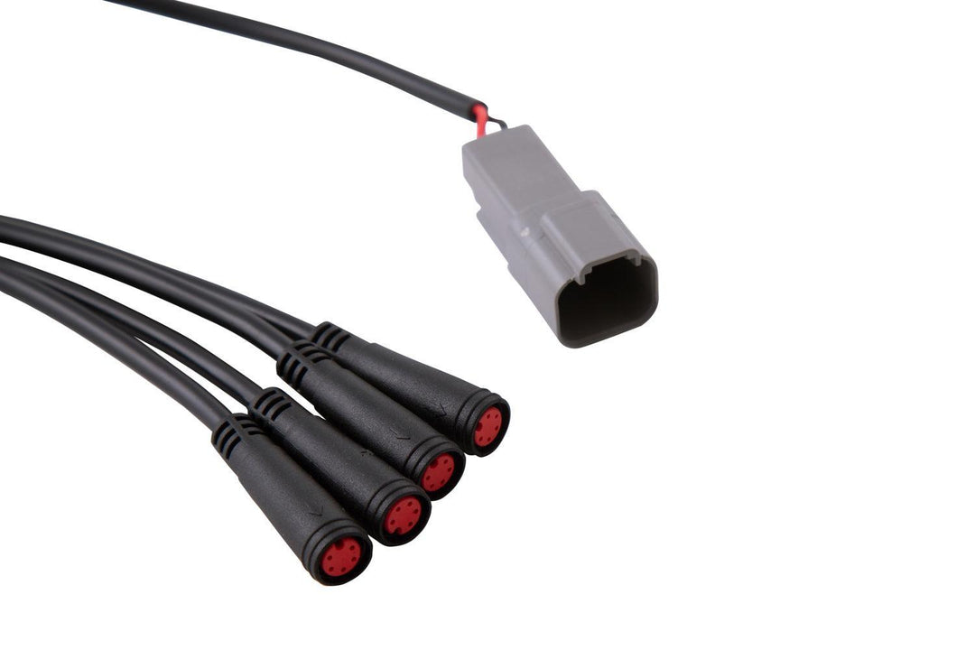 RGBW 24-Key M8 RF Controller Diode Dynamics-6