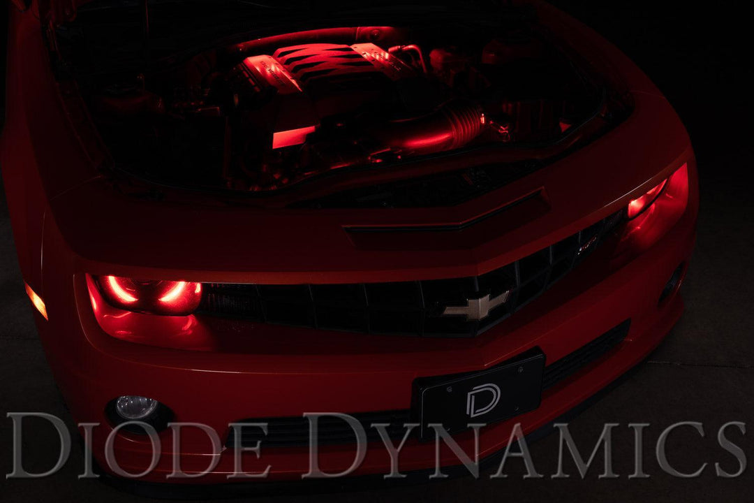 RGBW Multicolor Engine Bay LED Kit-1