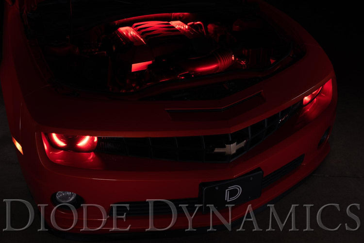 RGBW Multicolor Engine Bay LED Kit-1