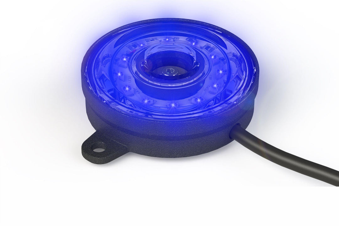 Rock Light: Profile Pixel (Blue)-1