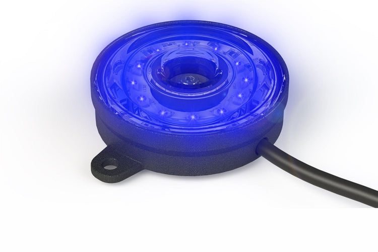 Rock Light: Profile Pixel (Blue)-1