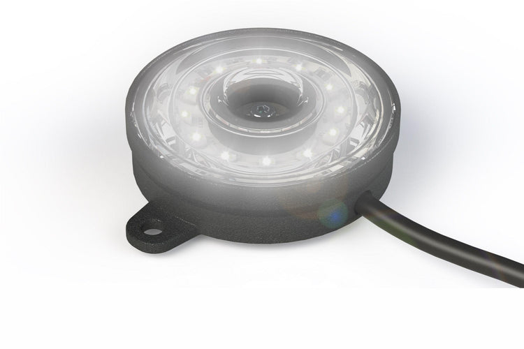 Rock Light: Profile Pixel (White)-1