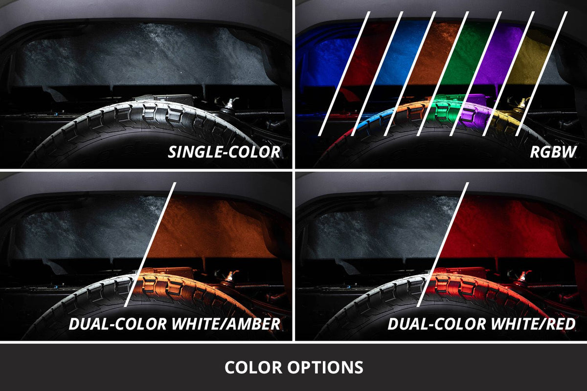 Stage Series LED Rock Light (One)-5