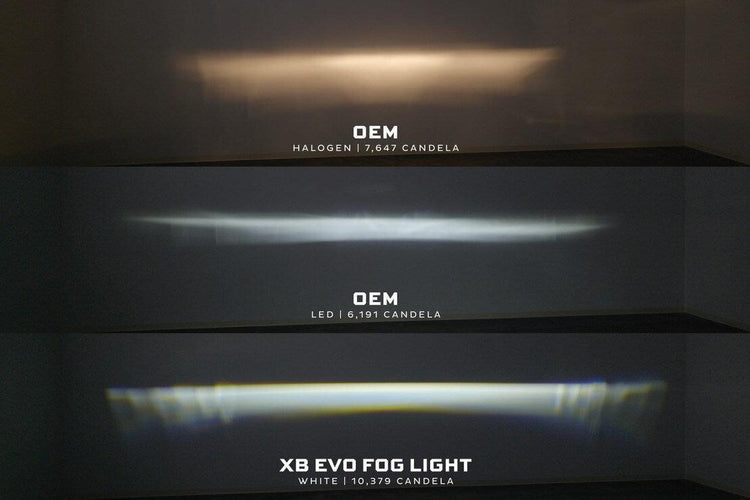 Toyota RAV4 (16-21): Morimoto XB Evo / Evo+ Fog Lights-9